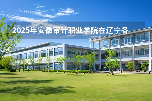 2025年安徽审计职业学院在辽宁各专业都招多少人（2026参考）