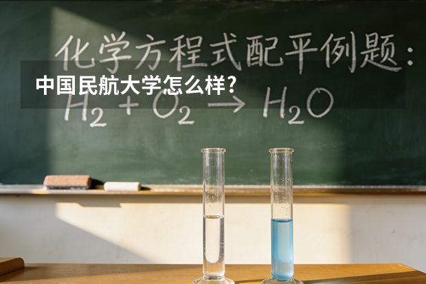 中国民航大学怎么样?