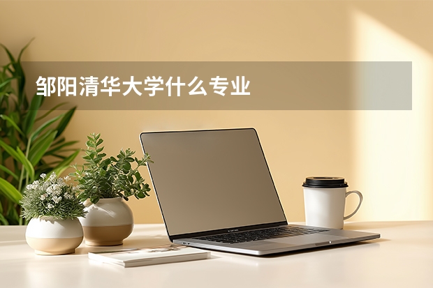邹阳清华大学什么专业