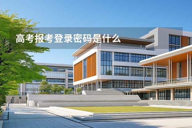 高考报考登录密码是什么