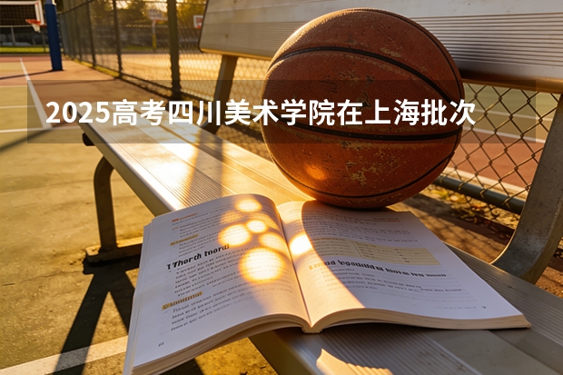 2025高考四川美术学院在上海批次选科要求有哪些