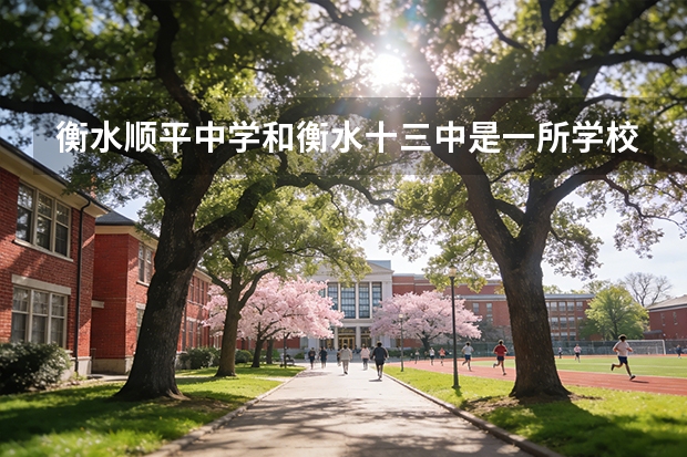 衡水顺平中学和衡水十三中是一所学校吗？