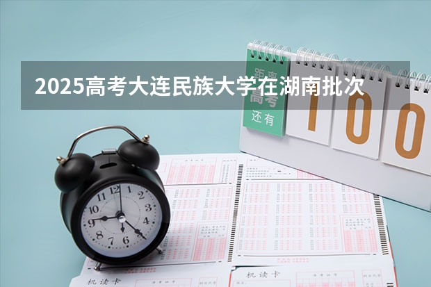 2025高考大连民族大学在湖南批次选科要求有哪些