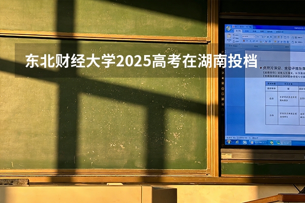 东北财经大学2025高考在湖南投档分数线