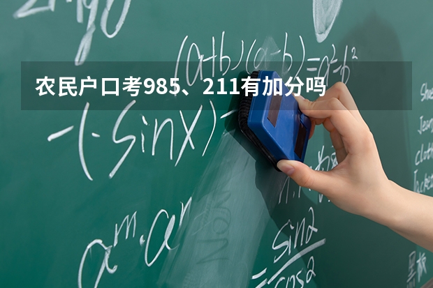 农民户口考985、211有加分吗