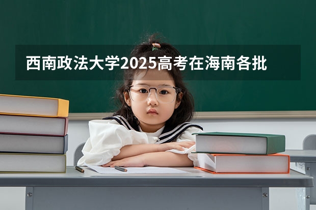 西南政法大学2025高考在海南各批次选科要求如何