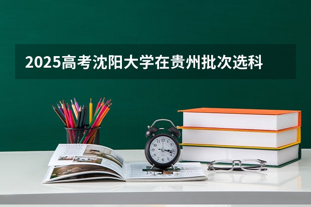 2025高考沈阳大学在贵州批次选科要求有哪些