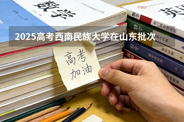 2025高考西南民族大学在山东批次选科要求有哪些