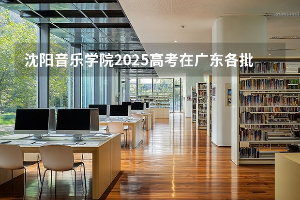 沈阳音乐学院2025高考在广东各批次选科要求如何