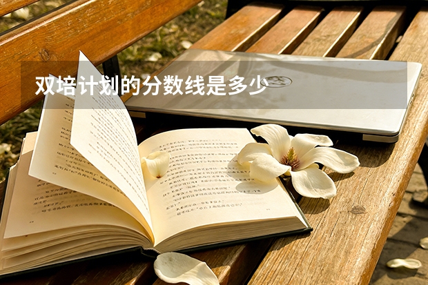双培计划的分数线是多少