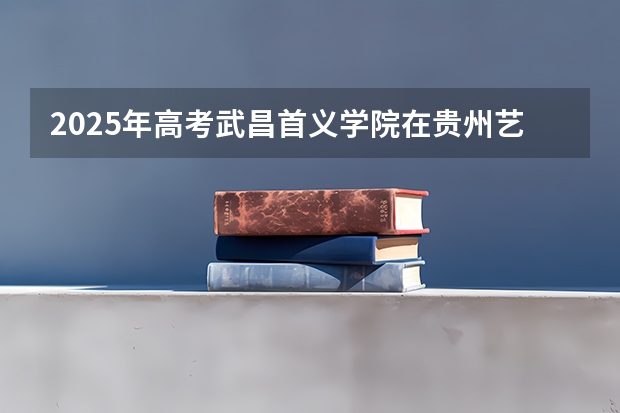 2025年高考武昌首义学院在贵州艺术类投档分数线总汇