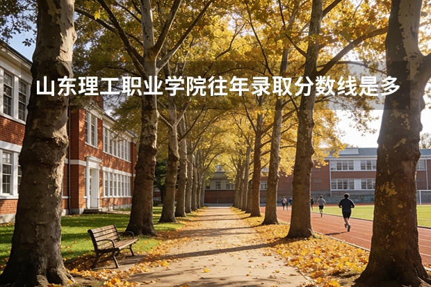 山东理工职业学院往年录取分数线是多少？