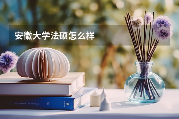 安徽大学法硕怎么样
