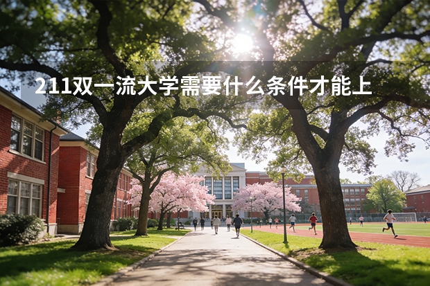211双一流大学需要什么条件才能上