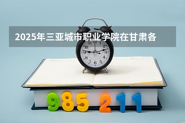 2025年三亚城市职业学院在甘肃各专业都招多少人（2026参考）