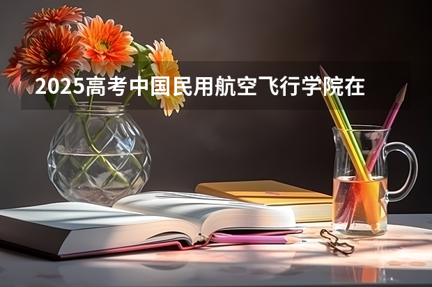 2025高考中国民用航空飞行学院在天津批次选科要求有哪些