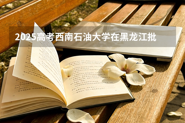 2025高考西南石油大学在黑龙江批次选科要求有哪些