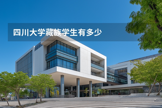 四川大学藏族学生有多少
