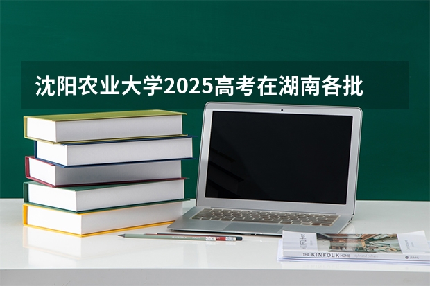 沈阳农业大学2025高考在湖南各批次选科要求如何