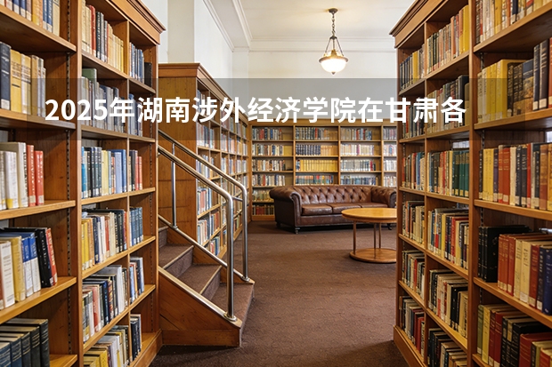 2025年湖南涉外经济学院在甘肃各专业都招多少人（2026参考）