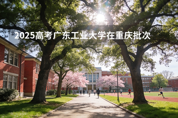 2025高考广东工业大学在重庆批次选科要求有哪些