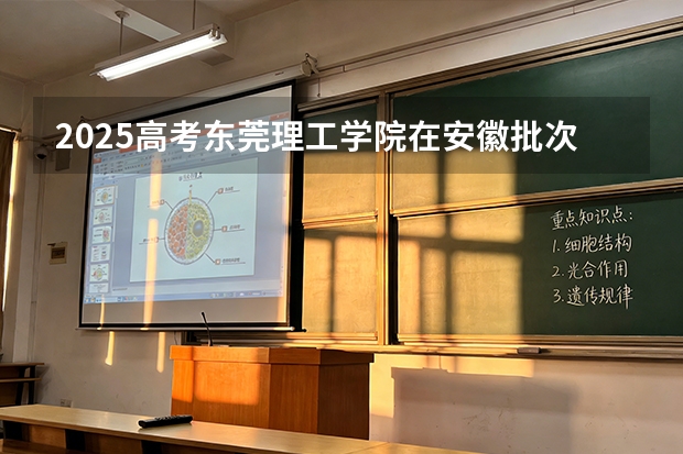 2025高考东莞理工学院在安徽批次选科要求有哪些