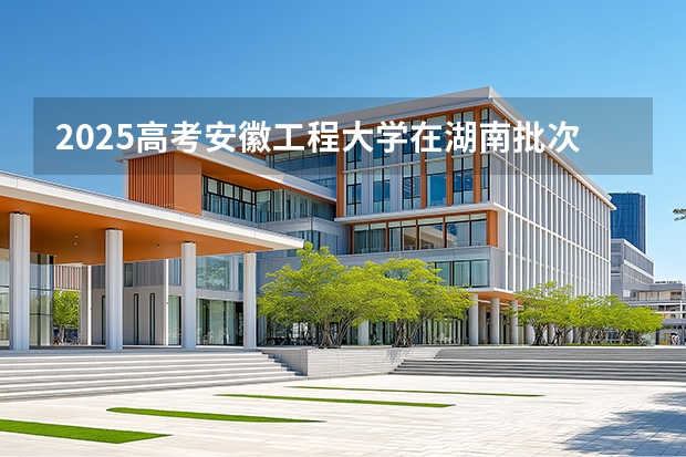 2025高考安徽工程大学在湖南批次选科要求有哪些