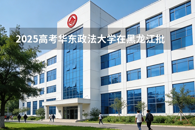 2025高考华东政法大学在黑龙江批次选科要求有哪些