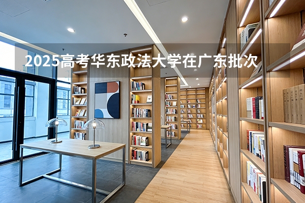 2025高考华东政法大学在广东批次选科要求有哪些