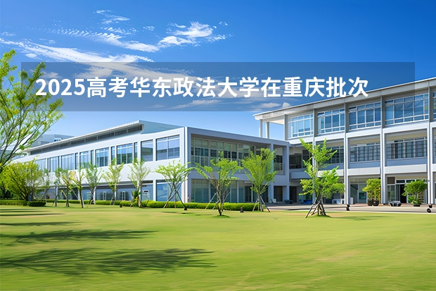 2025高考华东政法大学在重庆批次选科要求有哪些