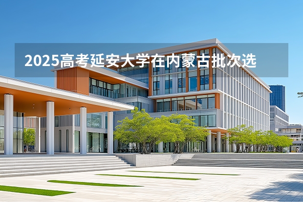 2025高考延安大学在内蒙古批次选科要求有哪些