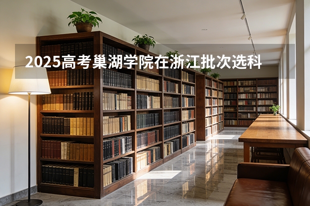 2025高考巢湖学院在浙江批次选科要求有哪些