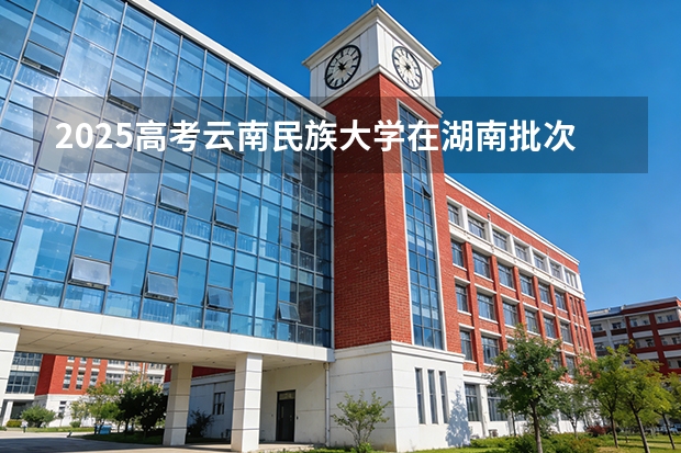 2025高考云南民族大学在湖南批次选科要求有哪些