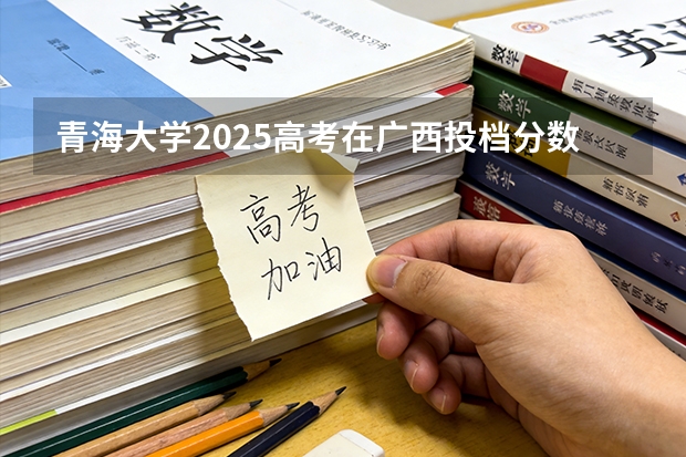 青海大学2025高考在广西投档分数线
