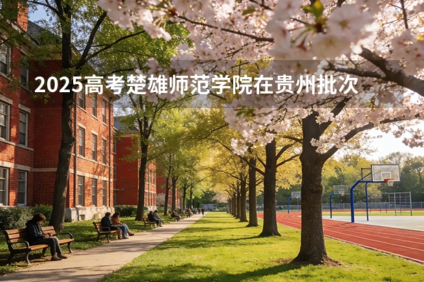 2025高考楚雄师范学院在贵州批次选科要求有哪些