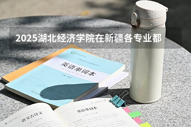 2025湖北经济学院在新疆各专业都招多少人（2026参考）