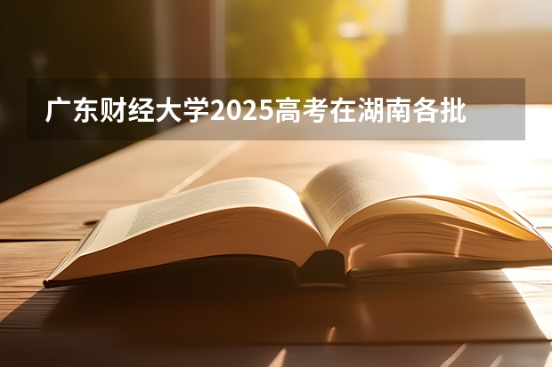 广东财经大学2025高考在湖南各批次选科要求如何