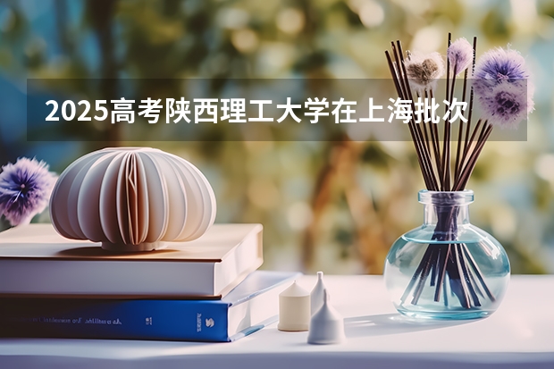 2025高考陕西理工大学在上海批次选科要求有哪些