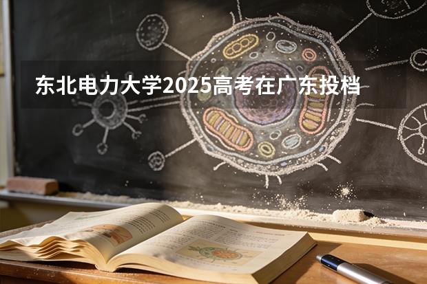 东北电力大学2025高考在广东投档分数线