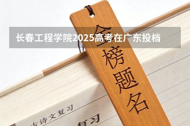长春工程学院2025高考在广东投档分数线