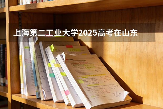 上海第二工业大学2025高考在山东各批次选科要求如何