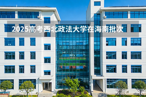 2025高考西北政法大学在海南批次选科要求有哪些
