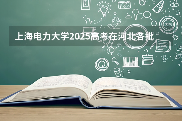 上海电力大学2025高考在河北各批次选科要求如何