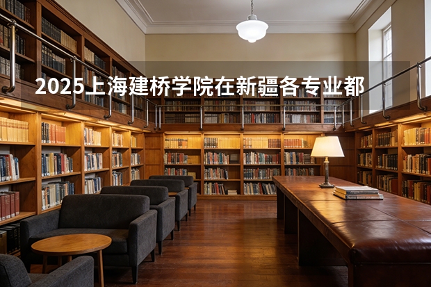2025上海建桥学院在新疆各专业都招多少人（2026参考）