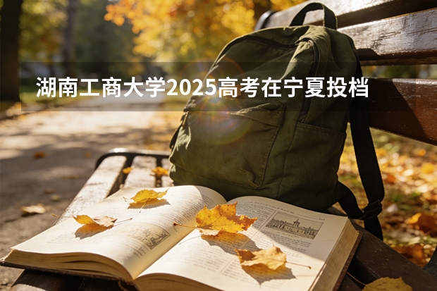 湖南工商大学2025高考在宁夏投档分数线