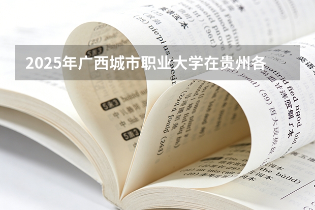 2025年广西城市职业大学在贵州各专业都招多少人（2026参考）