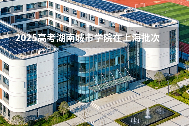 2025高考湖南城市学院在上海批次选科要求有哪些