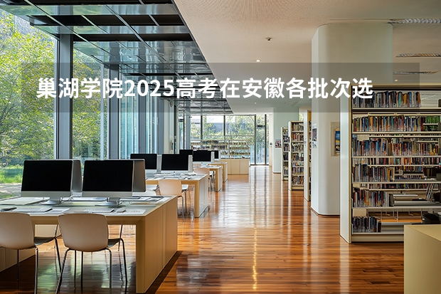 巢湖学院2025高考在安徽各批次选科要求如何