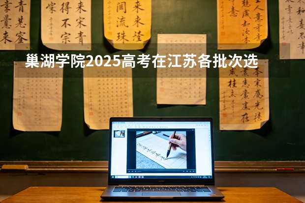 巢湖学院2025高考在江苏各批次选科要求如何