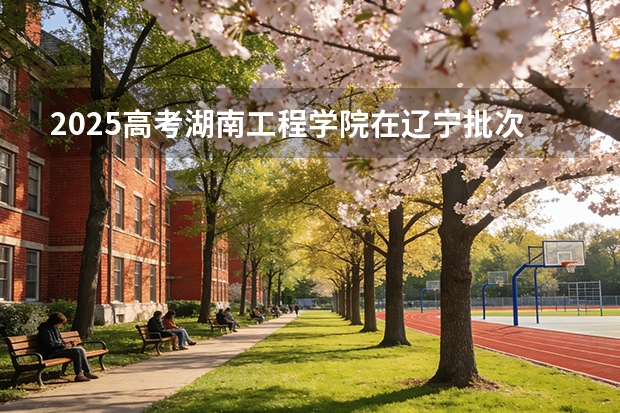 2025高考湖南工程学院在辽宁批次选科要求有哪些